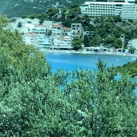 Dzana 公寓 *