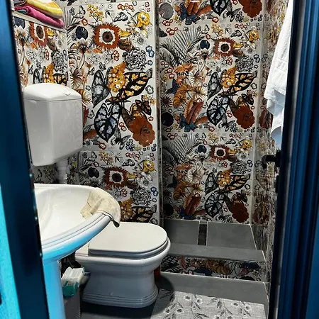 公寓 Dzana 内乌姆